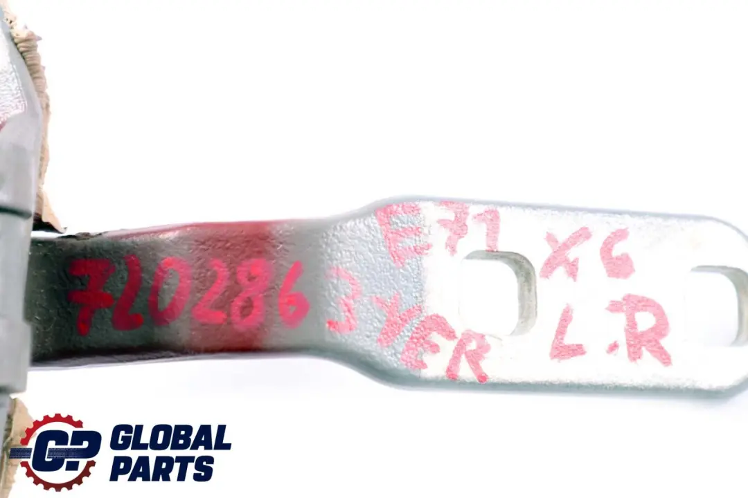 Scharnier Heckklappe Hinten Links Vermilionrot für BMW X6 er E71 mit Teilenummer 7175829 BMW X6 er E71 Scharnier Heckklappe Hinten Links Vermilionrot - SKU 7202863-VER - Teilenummer 7175829