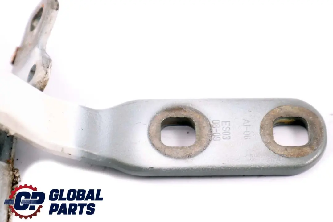 Scharnier Heckklappe Hinten Rechts Weiss für BMW X6 er E71 mit Teilenummer 7175830 BMW X6 er E71 Scharnier Heckklappe Hinten Rechts Weiss - SKU 7202864-WHI - Teilenummer 7175830