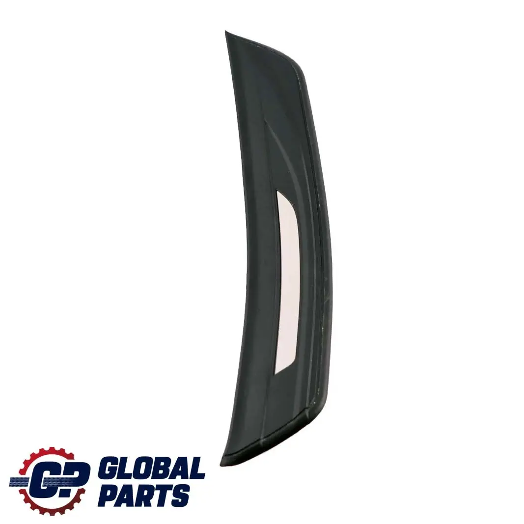 BMW F10 F11 Entrance Door Cover Trim Strip Rear Left N/S Illuminated - SKU 7203609 - Part number 7203609
