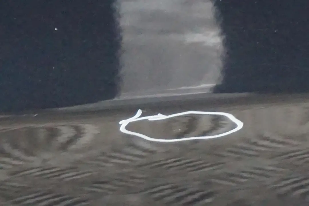 Door Front Right O/S Carbonschwarz Carbon Black - 416 to BMW 3 Series E90 E91 5 with Part number 7203644 BMW 3 Series E90 E91 5 Door Front Right O/S Carbonschwarz Carbon Black - 416 - SKU 7203644-CAR5 - Part number 7203644