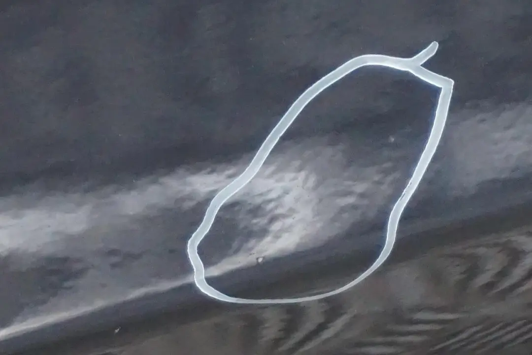 Door Front Right O/S Carbonschwarz Carbon Black - 416 to BMW 3 Series E90 E91 5 with Part number 7203644 BMW 3 Series E90 E91 5 Door Front Right O/S Carbonschwarz Carbon Black - 416 - SKU 7203644-CAR5 - Part number 7203644