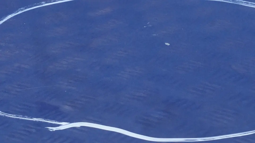 Conducteur Porte Arriere Gauche Bleu Montego Bleu Metallise pour BMW E90 LCI à propos du numéro de pièce 7203647 BMW E90 LCI Conducteur Porte Arriere Gauche Bleu Montego Bleu Metallise - SKU 7203647-MTB5 - Numéro de pièce 7203647