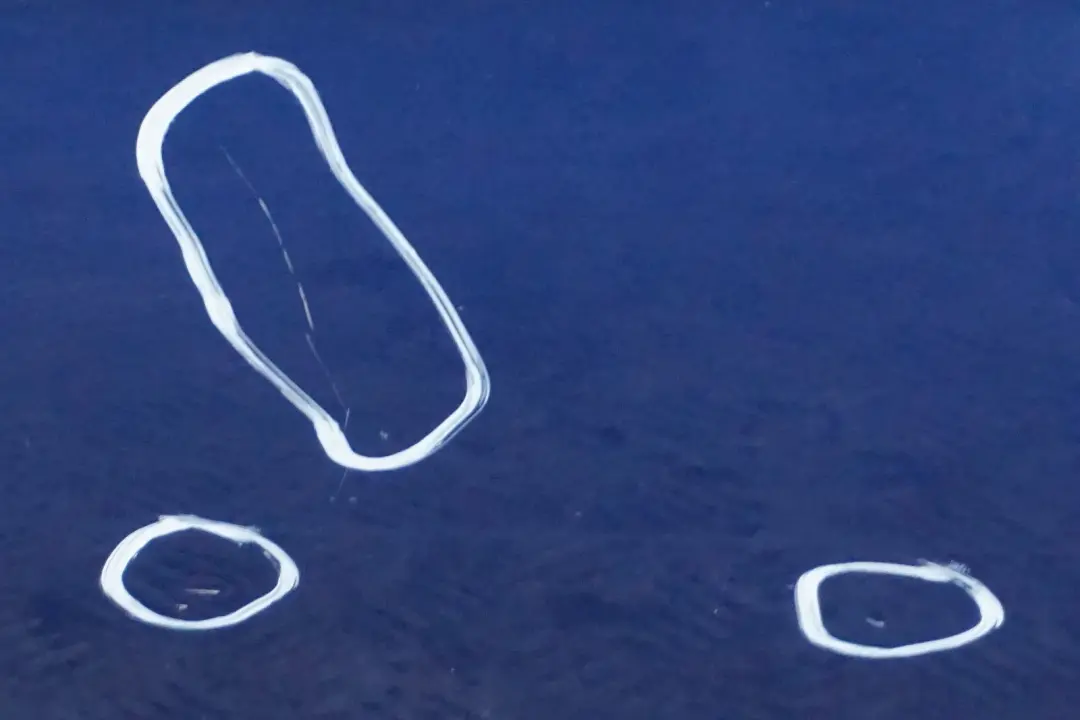 Lato Porta Posteriore Sinistra Montegoblau Blu Metallizzato A51 per BMW E90 6 con numero di parte 7203647 BMW E90 6 Lato Porta Posteriore Sinistra Montegoblau Blu Metallizzato A51 - SKU 7203647-MTB6 - Numero di parte 7203647