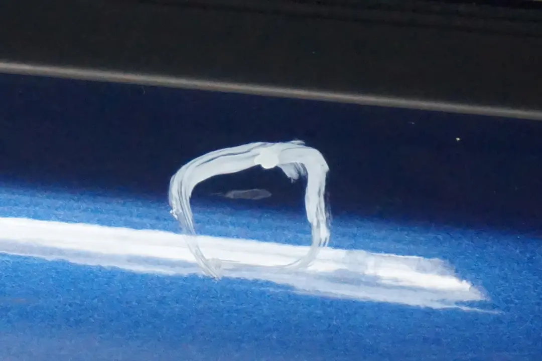 Door Rear Right O/S Montegoblau Blue Blau Metallic - A51 to BMW 3 Series E90 with Part number 7203648 BMW 3 Series E90 Door Rear Right O/S Montegoblau Blue Blau Metallic - A51 - SKU 7203648-MTB4 - Part number 7203648