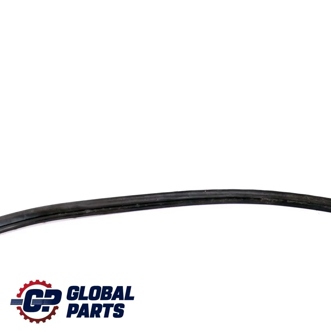 BMW Z4 Series E89 Front Right Door O/S Joint Seal Sealing Strip - SKU 7203672 - Part number 7203672
