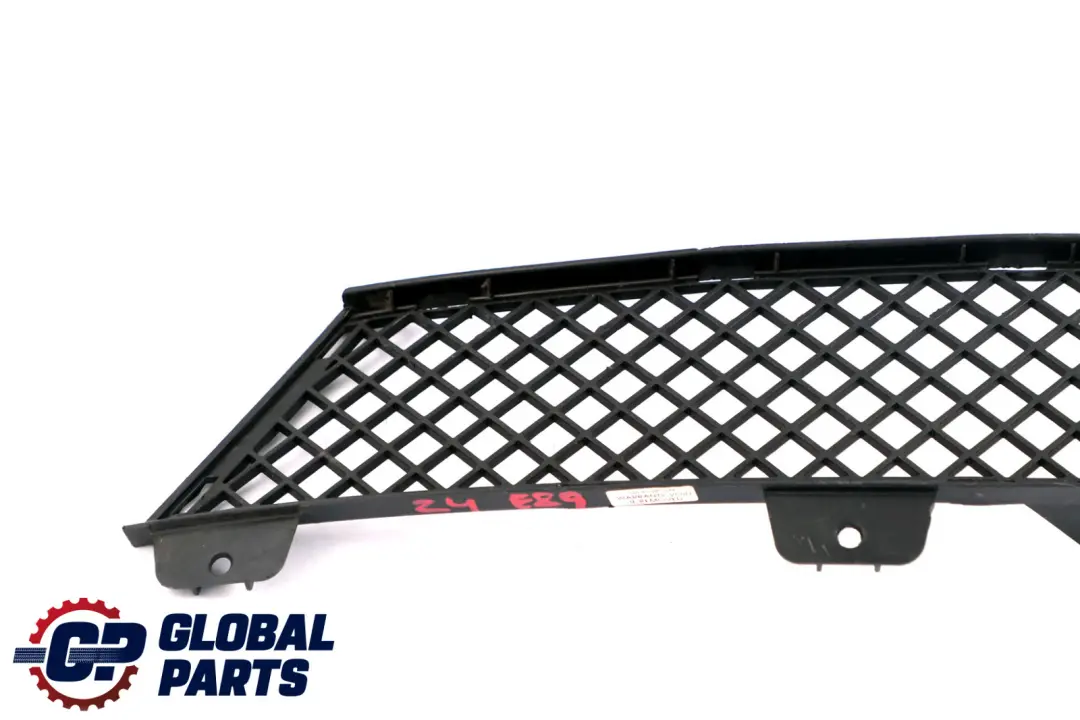 Front Grid Grille Centre Lower Bumper Trim Strip to BMW Z4 E89 with Part number 7203790 BMW Z4 E89 Front Grid Grille Centre Lower Bumper Trim Strip - SKU 7203790 - Part number 7203790