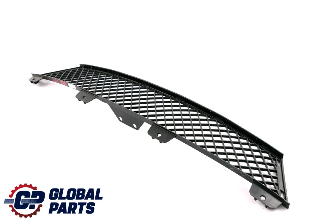 Front Grid Grille Centre Lower Bumper Trim Strip to BMW Z4 E89 with Part number 7203790 BMW Z4 E89 Front Grid Grille Centre Lower Bumper Trim Strip - SKU 7203790 - Part number 7203790