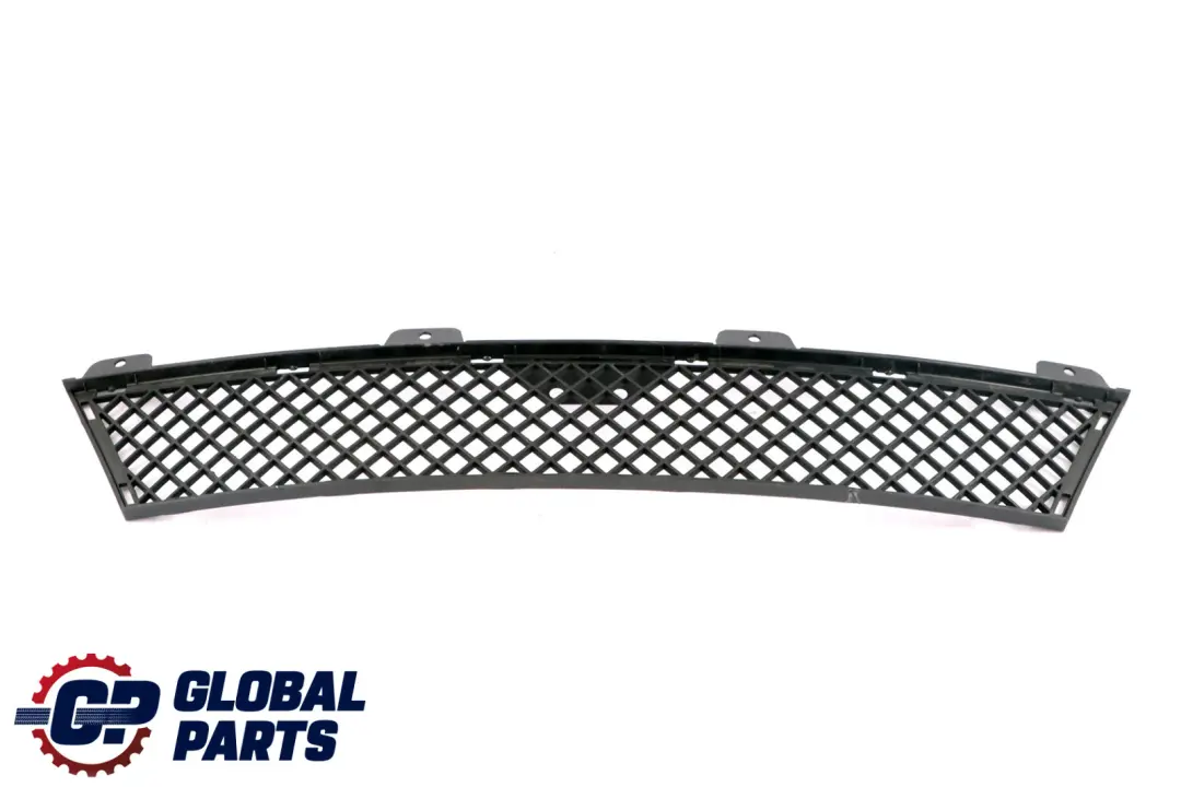 Front Kühler Grill Mitte Untere Stoßstangen Verkleidung für BMW Z4 E89 mit Teilenummer 7203790 BMW Z4 E89 Front Kühler Grill Mitte Untere Stoßstangen Verkleidung - SKU 7203790 - Teilenummer 7203790