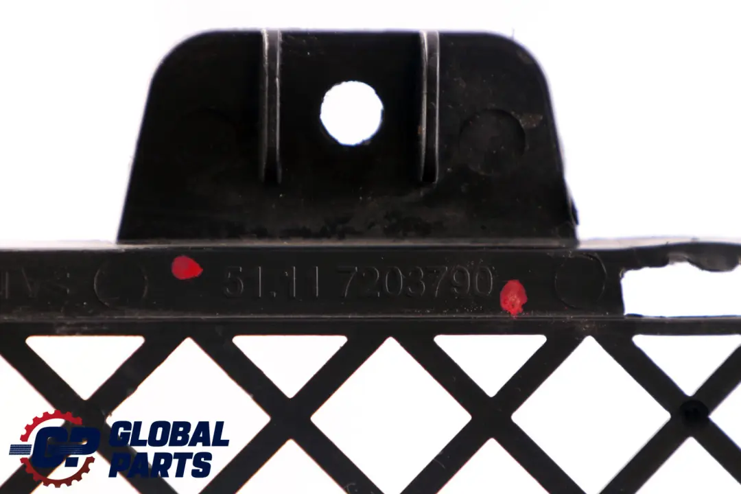 Front Grid Grille Centre Lower Bumper Trim Strip to BMW Z4 E89 with Part number 7203790 BMW Z4 E89 Front Grid Grille Centre Lower Bumper Trim Strip - SKU 7203790 - Part number 7203790