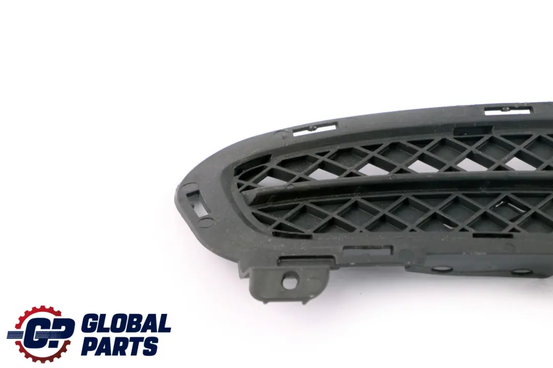 Gitter geschlossen Links Schwarz für BMW Z4 E89 mit Teilenummer 7203799 BMW Z4 E89 Gitter geschlossen Links Schwarz - SKU 7203799 - Teilenummer 7203799