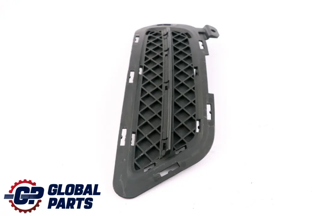 BMW Z4 E89 Bumper Closed Grid Grille Trim Cover Panel Front Right O/S - SKU 7203800 - Part number 7203800