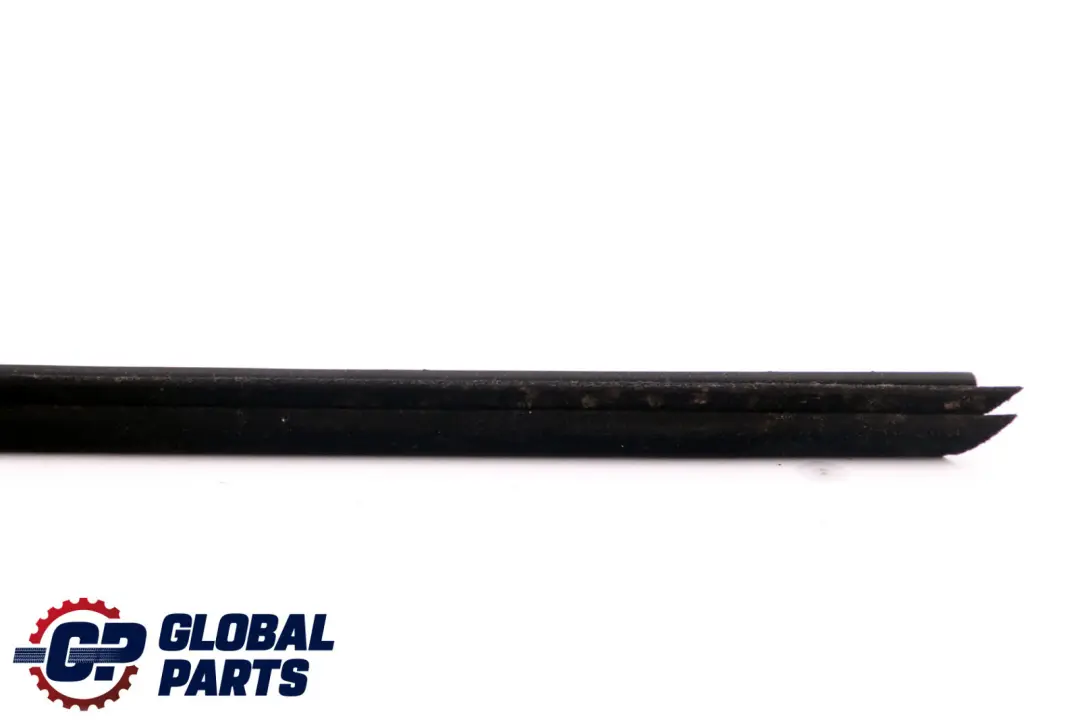 BMW E70 Canal Sello Interior Puerta Delantera Izquierda - SKU 7207217 - Número de pieza 7207217