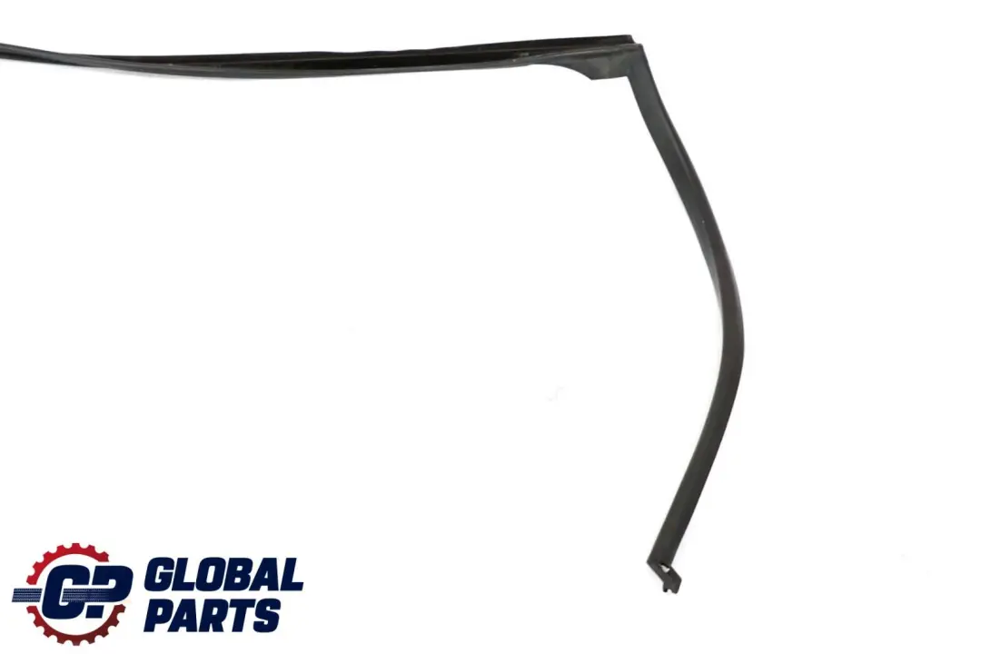 BMW X5 E70 Guarnizione Posteriore Sinistra Guarnizione Porta Tetto - SKU 7208591 - Numero di parte 7208591