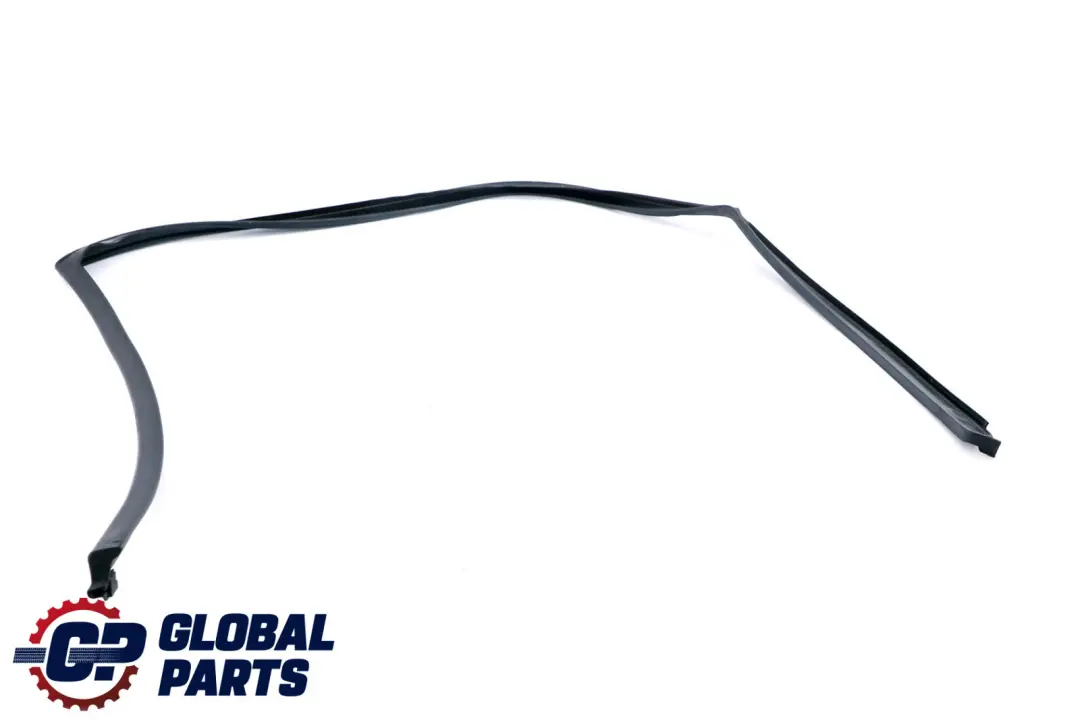 BMW X5 E70 Prawa Uszczelka Szyby Drzwi Prawy Tył - SKU 7208592 - Numer Części 7208592