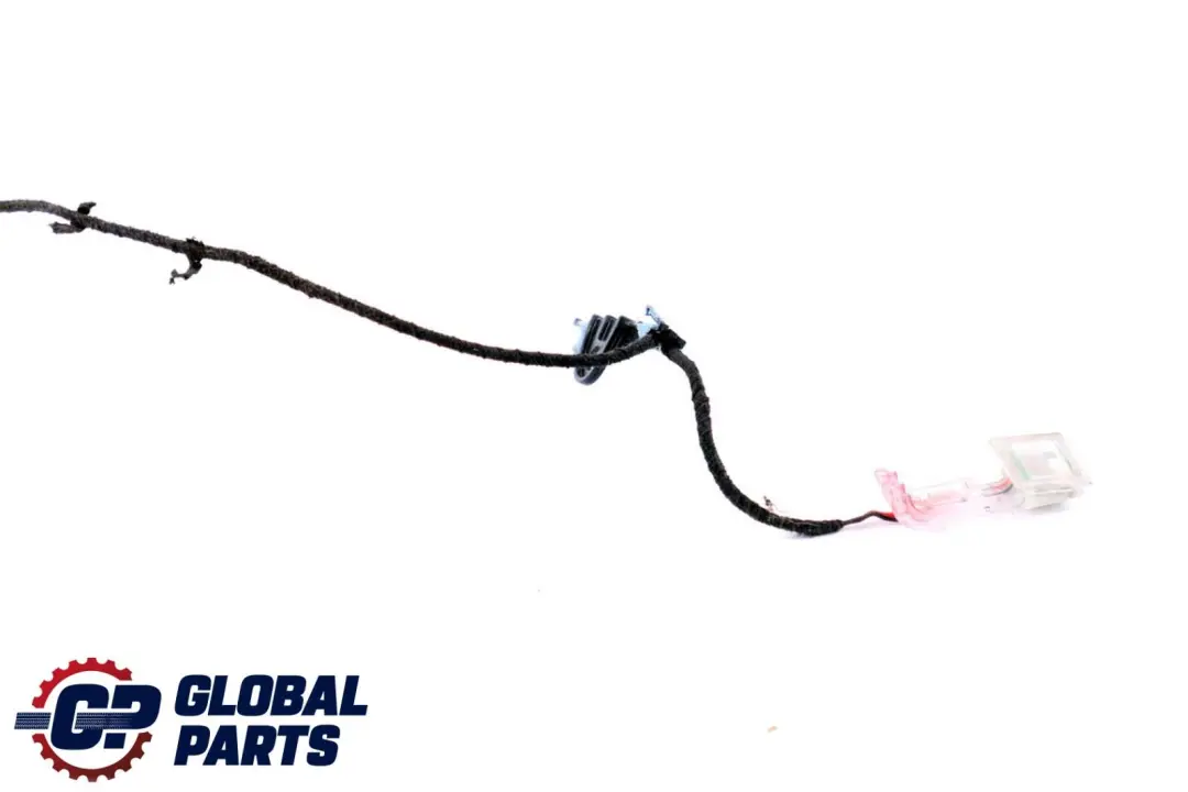 BMW X6 E71 Door Handle Lighting Light Front Left N/S - SKU 7209881 - Part number 7209881