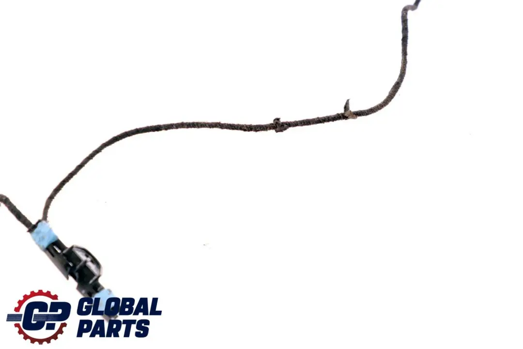 BMW X6 E71 Door Handle Lighting Light Front Left N/S - SKU 7209881 - Part number 7209881