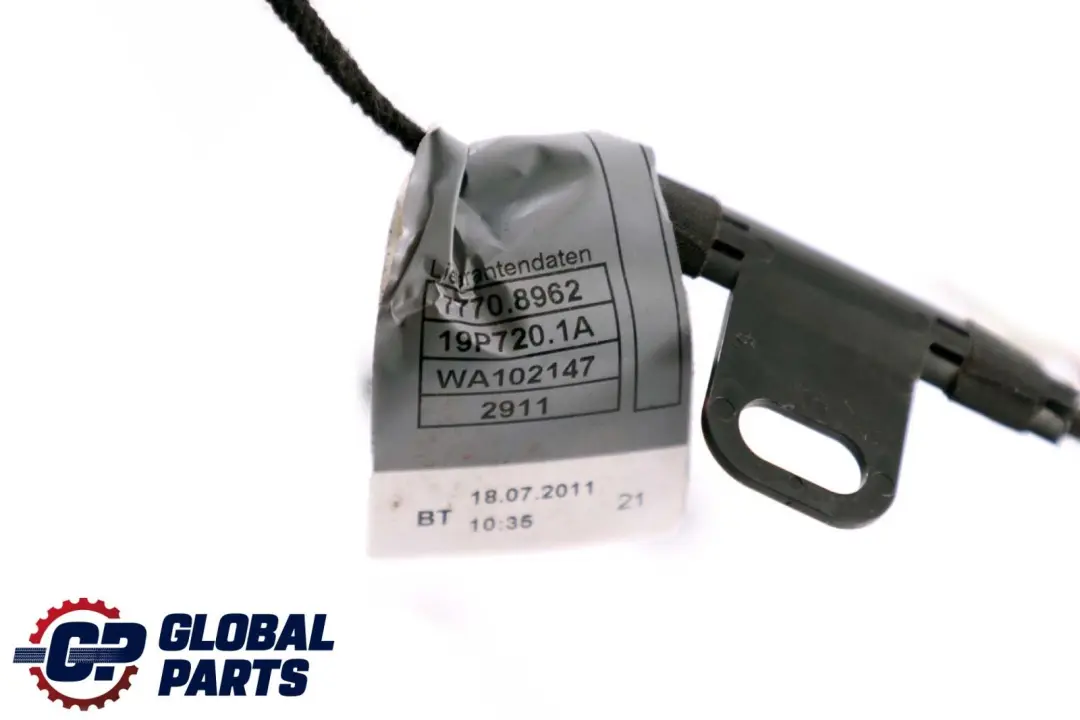 BMW X6 Series E71 Door Handle Lighting Light Front Right O/S - SKU 7209882 - Part number 7209882