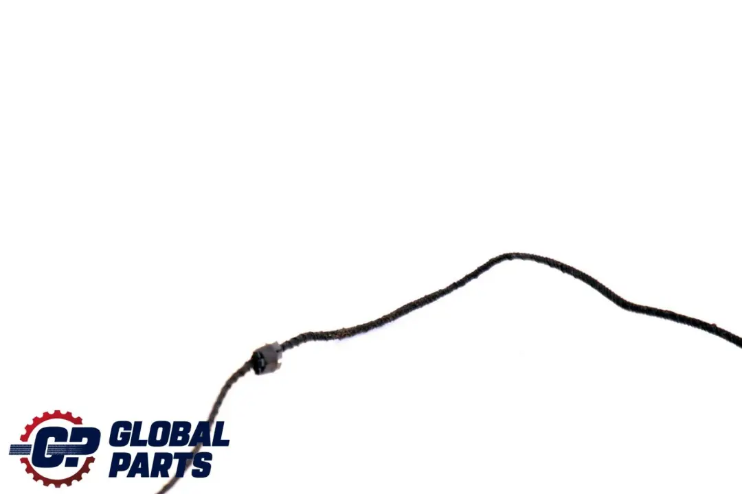 BMW X6 Series E71 Door Handle Lighting Light Front Right O/S - SKU 7209882 - Part number 7209882