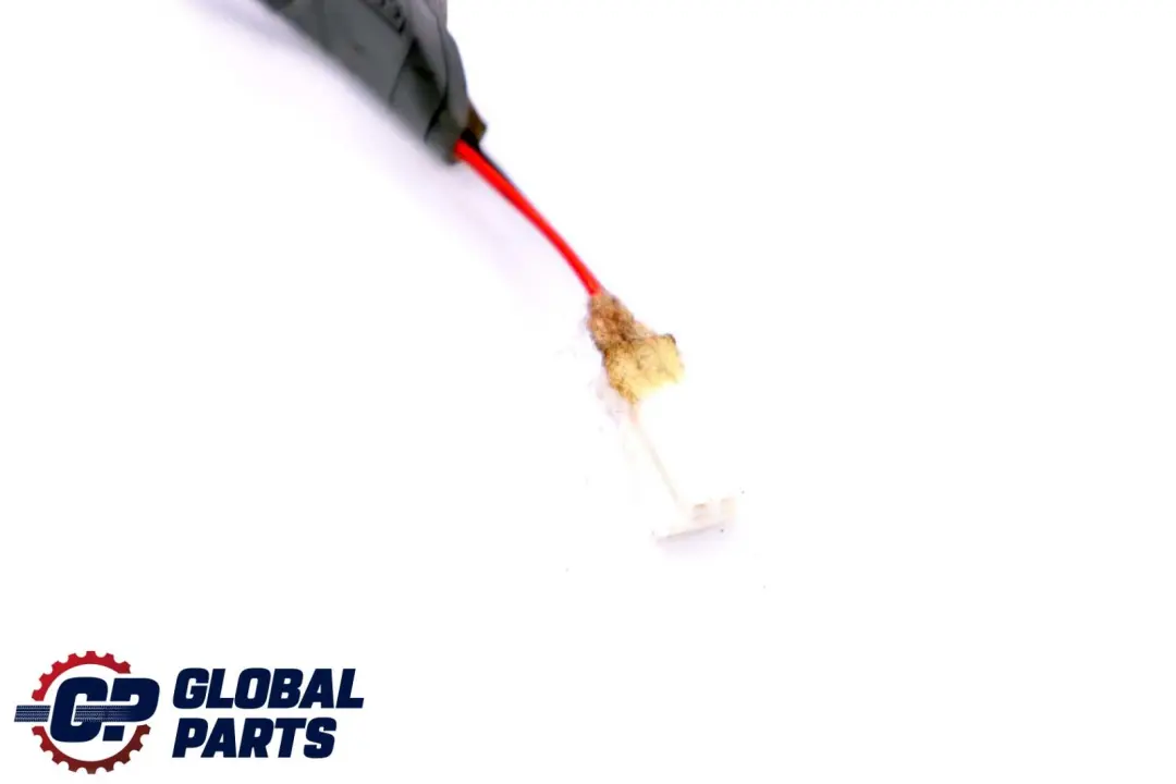 BMW X6 E71 Door Handle Illumination Light Wiring Harness Rear Left N/S - SKU 7209883 - Part number 7209883