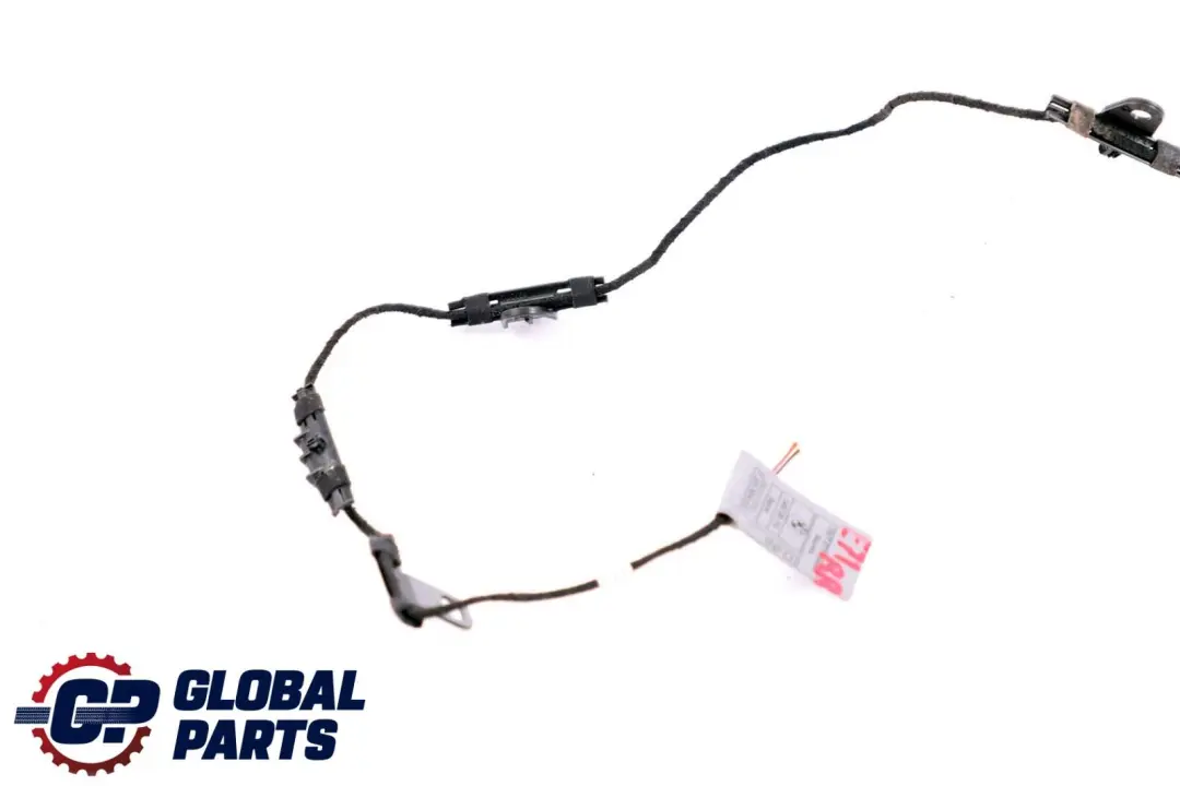 BMW X6 Series E71 Door Handle Lighting Light Rear Right O/S - SKU 7209884 - Part number 7209884