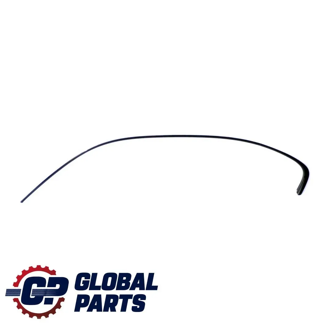 BMW 3 Series E90 Left N/S Side Frame Trim Strip High Gloss Shadow Black - SKU 7220197 - Part number 7220197