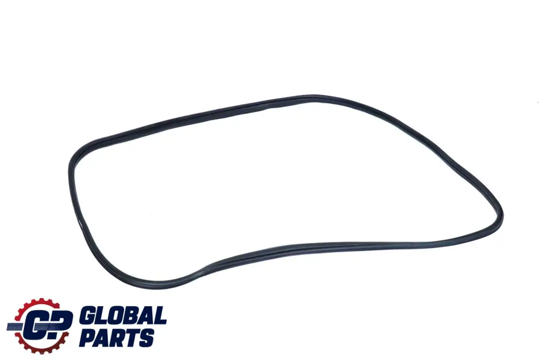 BMW X6 E71 Door Weatherstrip Front Seal Sealing Gasket Left Right - SKU 7221840 - Part number 7221840