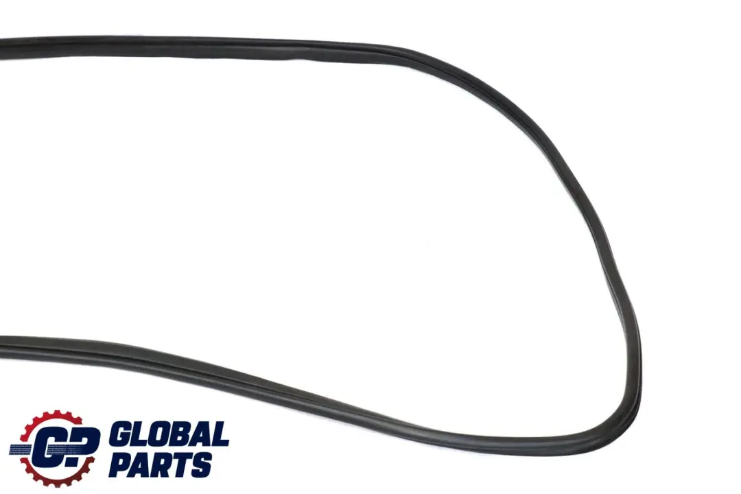 Porta Weatherstrip guarnizione di tenuta anteriore sinistra destra per BMW X6 E71 con numero di parte 7221840 BMW X6 E71 Porta Weatherstrip guarnizione di tenuta anteriore sinistra destra - SKU 7221840 - Numero di parte 7221840