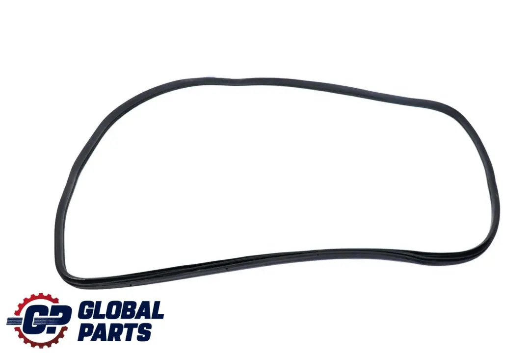 BMW X6 E71 Door Weatherstrip Front Seal Sealing Gasket Left Right - SKU 7221840 - Part number 7221840