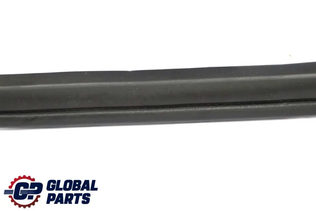 Guarnizione della porta posteriore sinistra di tenuta per BMW X6 E71 con numero di parte 7221843 BMW X6 E71 Guarnizione della porta posteriore sinistra di tenuta - SKU 7221843 - Numero di parte 7221843