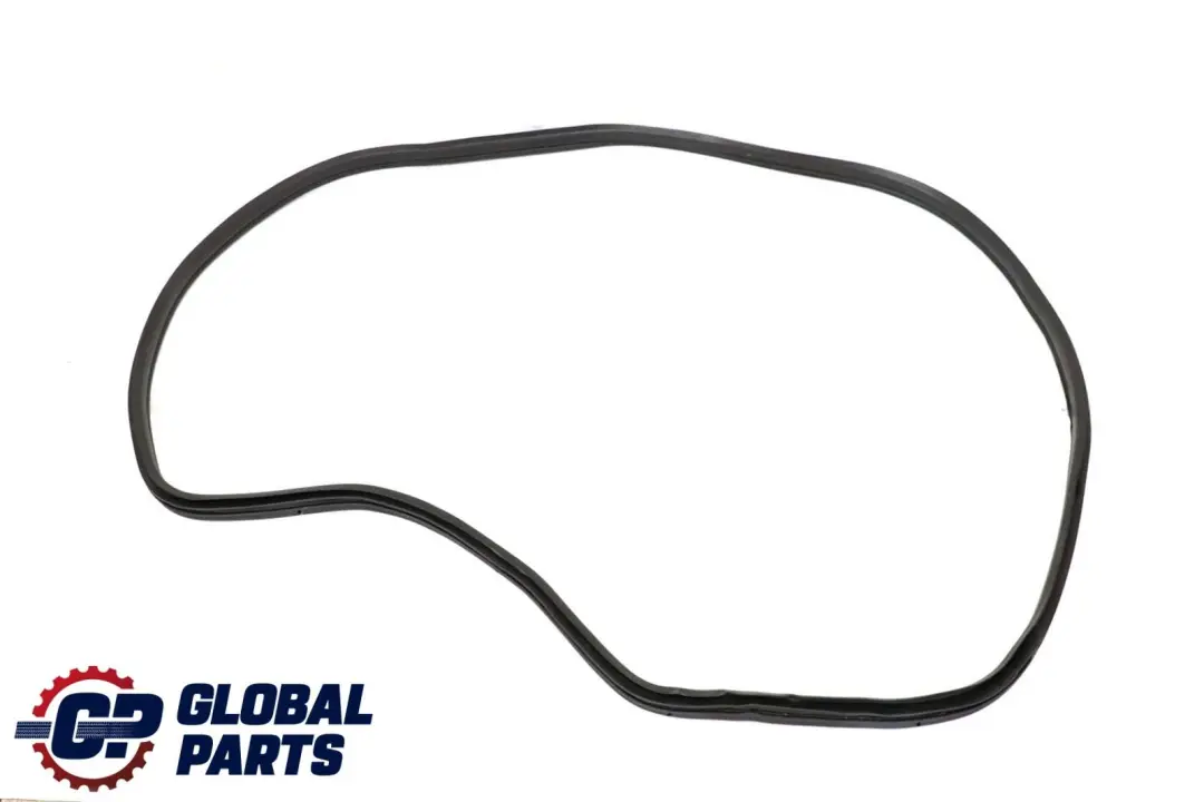 BMW X6 E71 Rear Left Door Seal Weatherstrip Sealing - SKU 7221843 - Part number 7221843