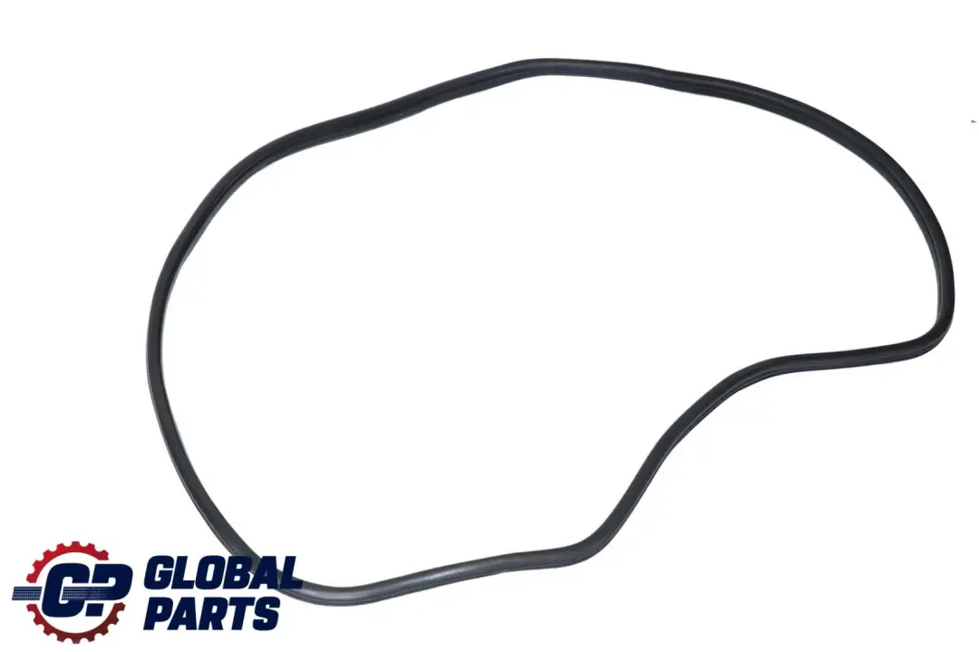 BMW X6 E71 Puerta Trasera Izquierda Junta Burlete - SKU 7221843 - Número de pieza 7221843