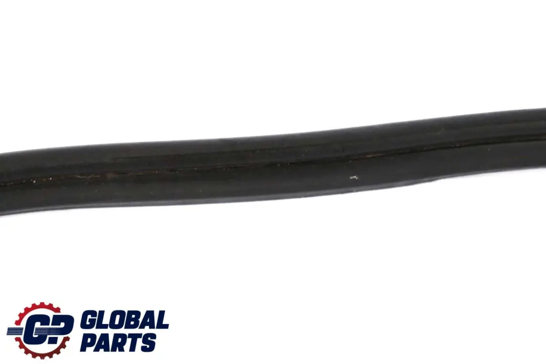 BMW X6 E71 Puerta Trasera Izquierda Junta Burlete - SKU 7221843 - Número de pieza 7221843