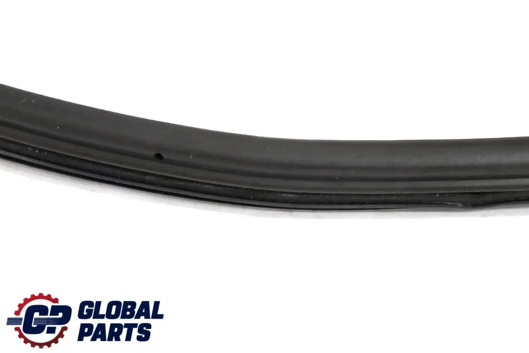 BMW X6 E71 Rear Left Door Seal Weatherstrip Sealing - SKU 7221843 - Part number 7221843