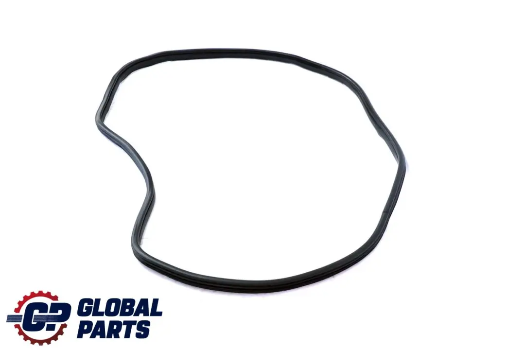BMW X6 E71 Puerta Trasera Izquierda Junta Burlete - SKU 7221843 - Número de pieza 7221843