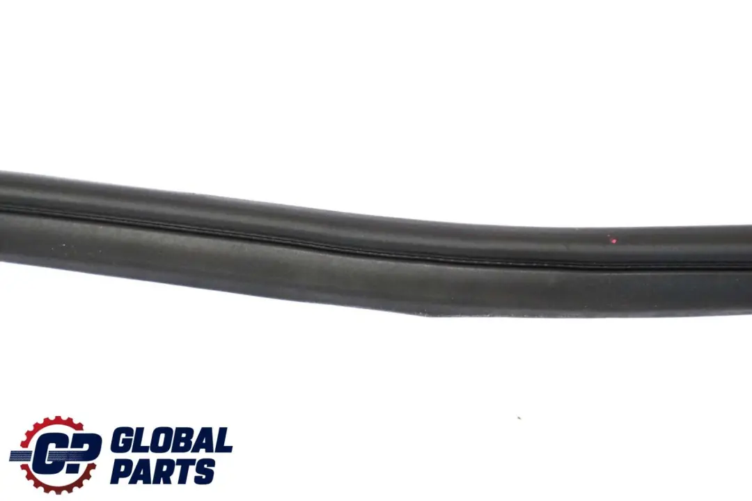 BMW X6 E71 Guarnizione Porta Paraurti Posteriore Destro Gomma - SKU 7221844 - Numero di parte 7221844