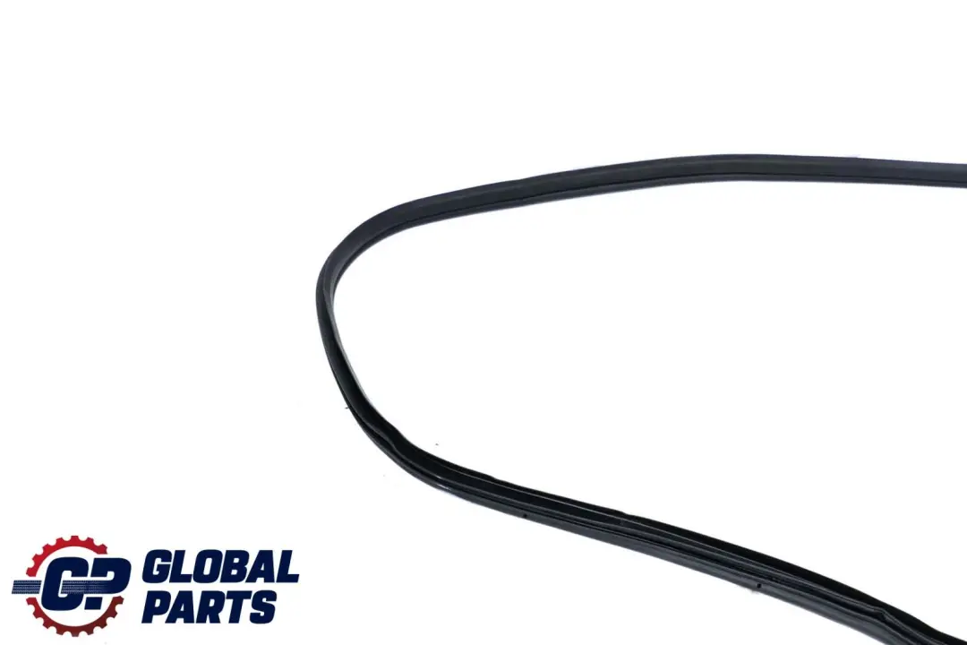 BMW X6 E71 Guarnizione Porta Paraurti Posteriore Destro Gomma - SKU 7221844 - Numero di parte 7221844