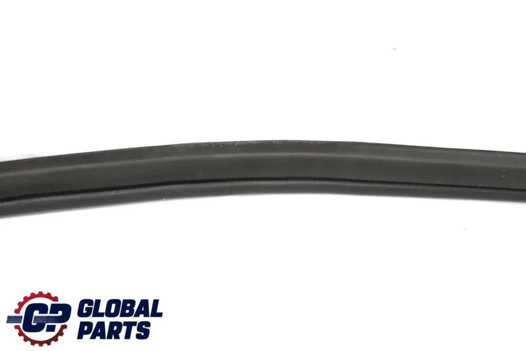 BMW X6 E71 Guarnizione Porta Paraurti Posteriore Destro Gomma - SKU 7221844 - Numero di parte 7221844