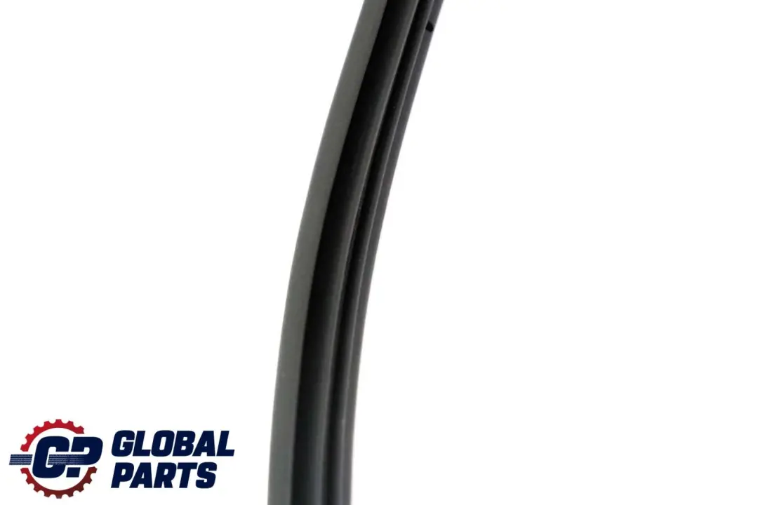 BMW X6 E71 Guarnizione Porta Paraurti Posteriore Destro Gomma - SKU 7221844 - Numero di parte 7221844