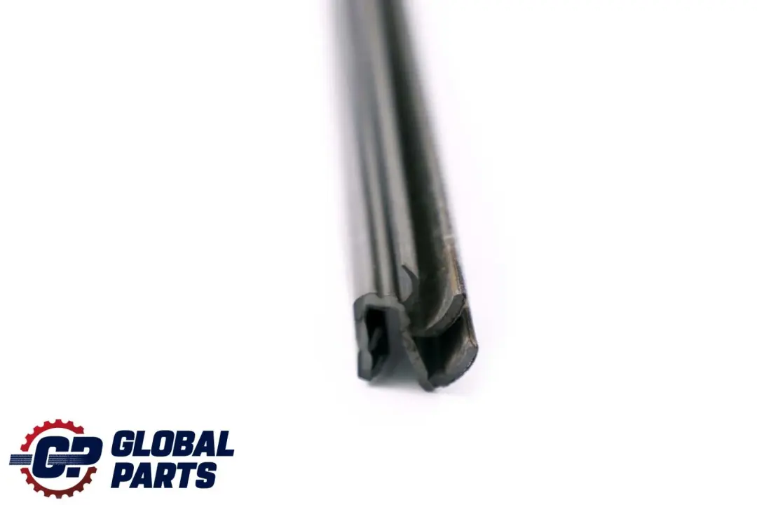 Schachtabdichtung Interieur Porte Arriere Gauche pour BMW X5 E70 à propos du numéro de pièce 7228029 BMW X5 E70 Schachtabdichtung Interieur Porte Arriere Gauche - SKU 7228029 - Numéro de pièce 7228029