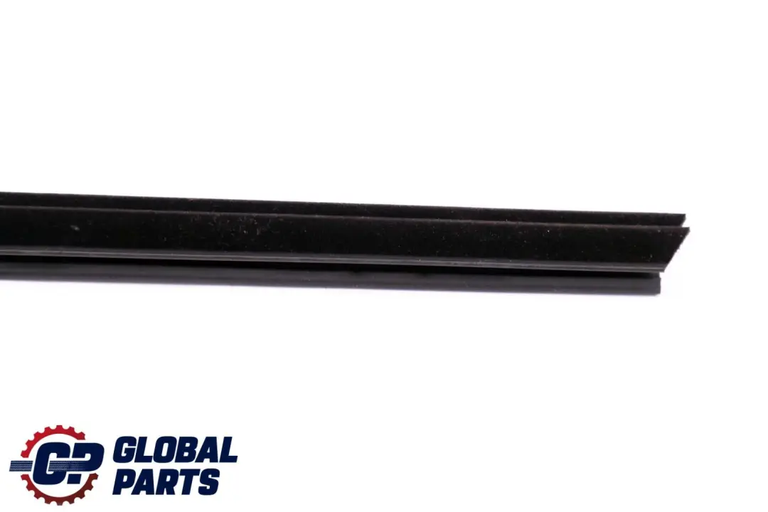 BMW X5 E70 Porta Posteriore Sinistra Guarnizione Interna Paraspruzzi - SKU 7228029 - Numero di parte 7228029