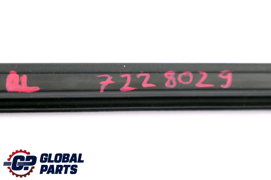 Porta Posteriore Sinistra Guarnizione Interna Paraspruzzi per BMW X5 E70 con numero di parte 7228029 BMW X5 E70 Porta Posteriore Sinistra Guarnizione Interna Paraspruzzi - SKU 7228029 - Numero di parte 7228029