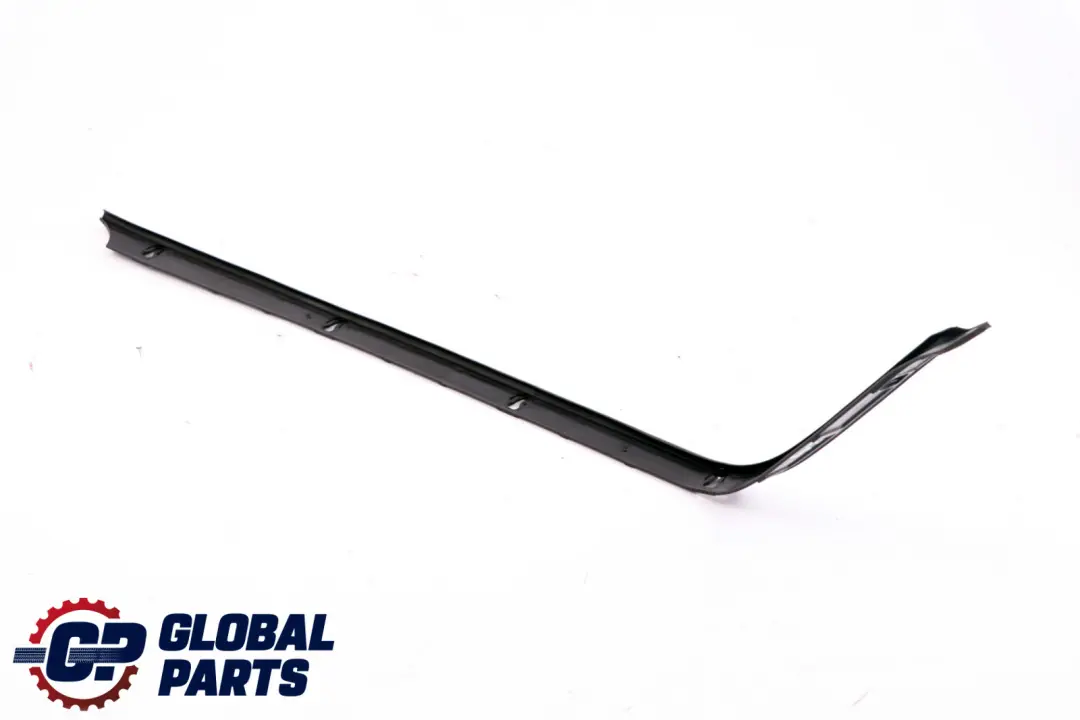 BMW Z4 E89 Fugenabdichtung SX 5176 - SKU 7233747 - Numero di parte 7233747