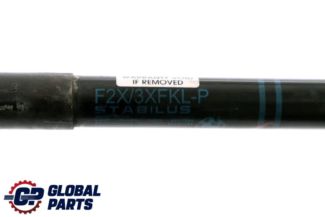 BMW F20 F21 F22 F23 F30 F31 F32 Set Gas Lembo Anteriore - SKU 7239233-1 - Numero di parte 7239233