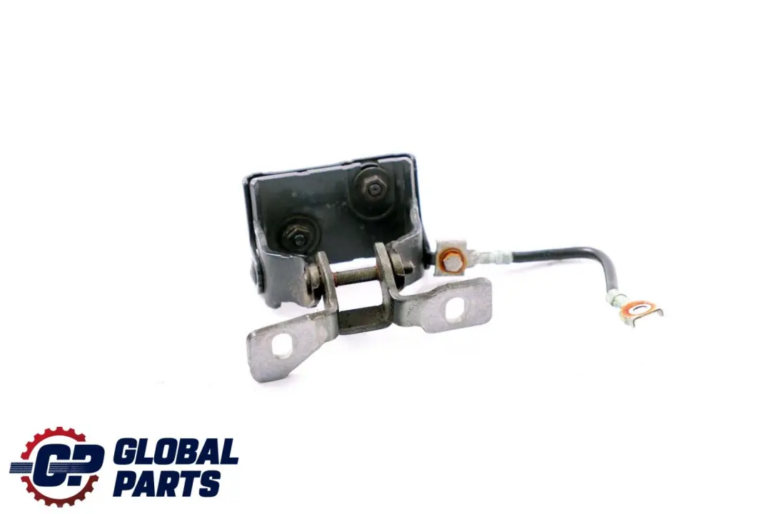 BMW F20 F21 LCI Cerniera Cofano Baule Sinistra Grigio Minerale - SKU 7239875-MG - Numero di parte 7239875