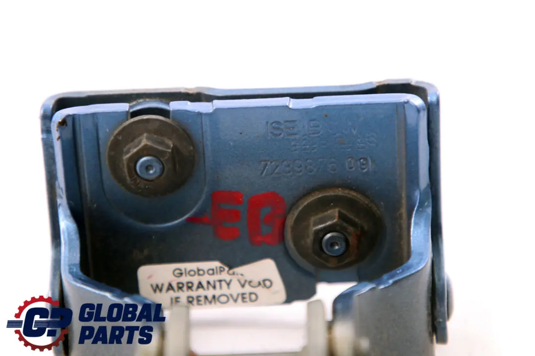 BMW F20 F21 LCI Cerniera del coperchio del bagagliaio destra Estoril Blau - SKU 7239876-EB - Numero di parte 7239876