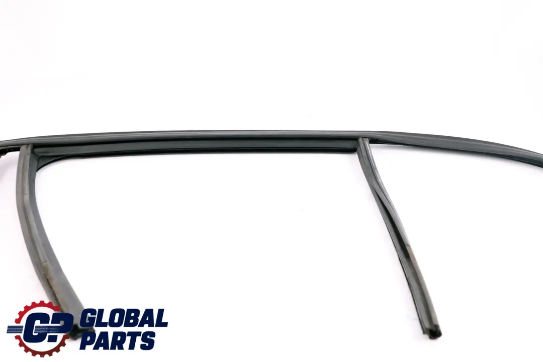 Door Window Guide Seal Left N/S to BMW F20 LCI Rear with Part number 7240839 BMW F20 LCI Rear Door Window Guide Seal Left N/S - SKU 7240839 - Part number 7240839