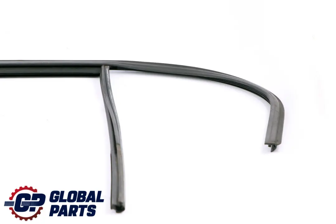 Binario Finestra Porta Posteriore Sinistra per BMW F20 LCI con numero di parte 7240839 BMW F20 LCI Binario Finestra Porta Posteriore Sinistra - SKU 7240839 - Numero di parte 7240839