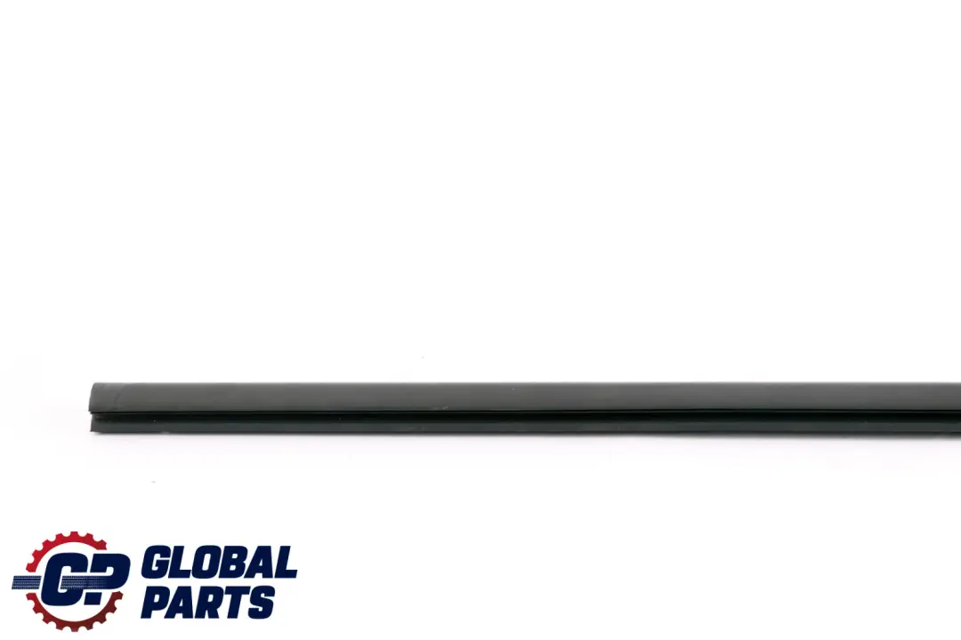 BMW F20 Schacht Abdichtung Esterno Porta Frontale - SKU 7240861 - Numero di parte 7240861