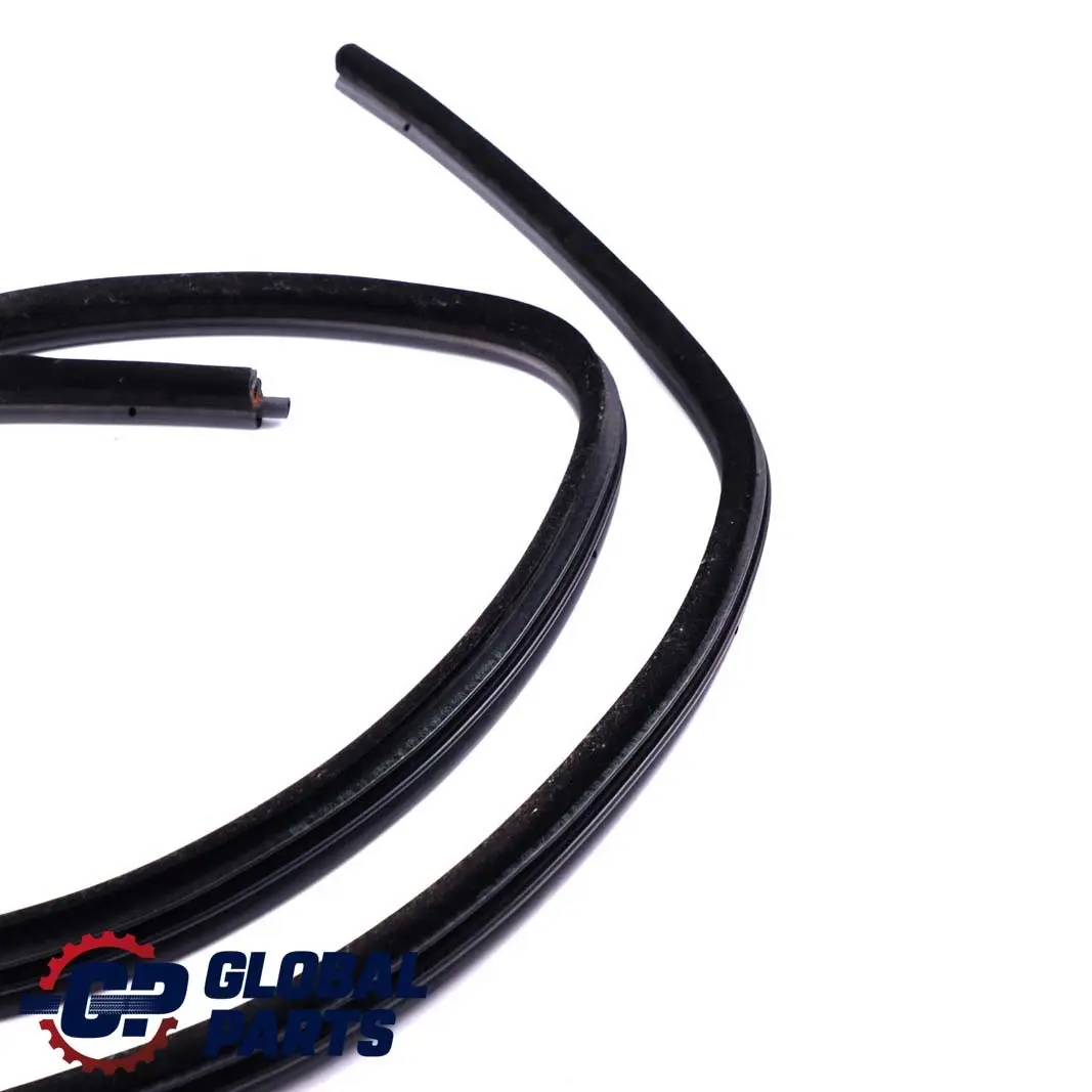 BMW E90 E90N LCI Paraspigoli Porta Posteriore SX Dx 5172 - SKU 7247260-1 - Numero di parte 7247260
