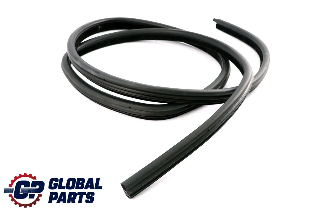 BMW E91 LCI Paraspigoli Guarnizione Porta Dx Sinistro Posteriore - SKU 7247262 - Numero di parte 7247262